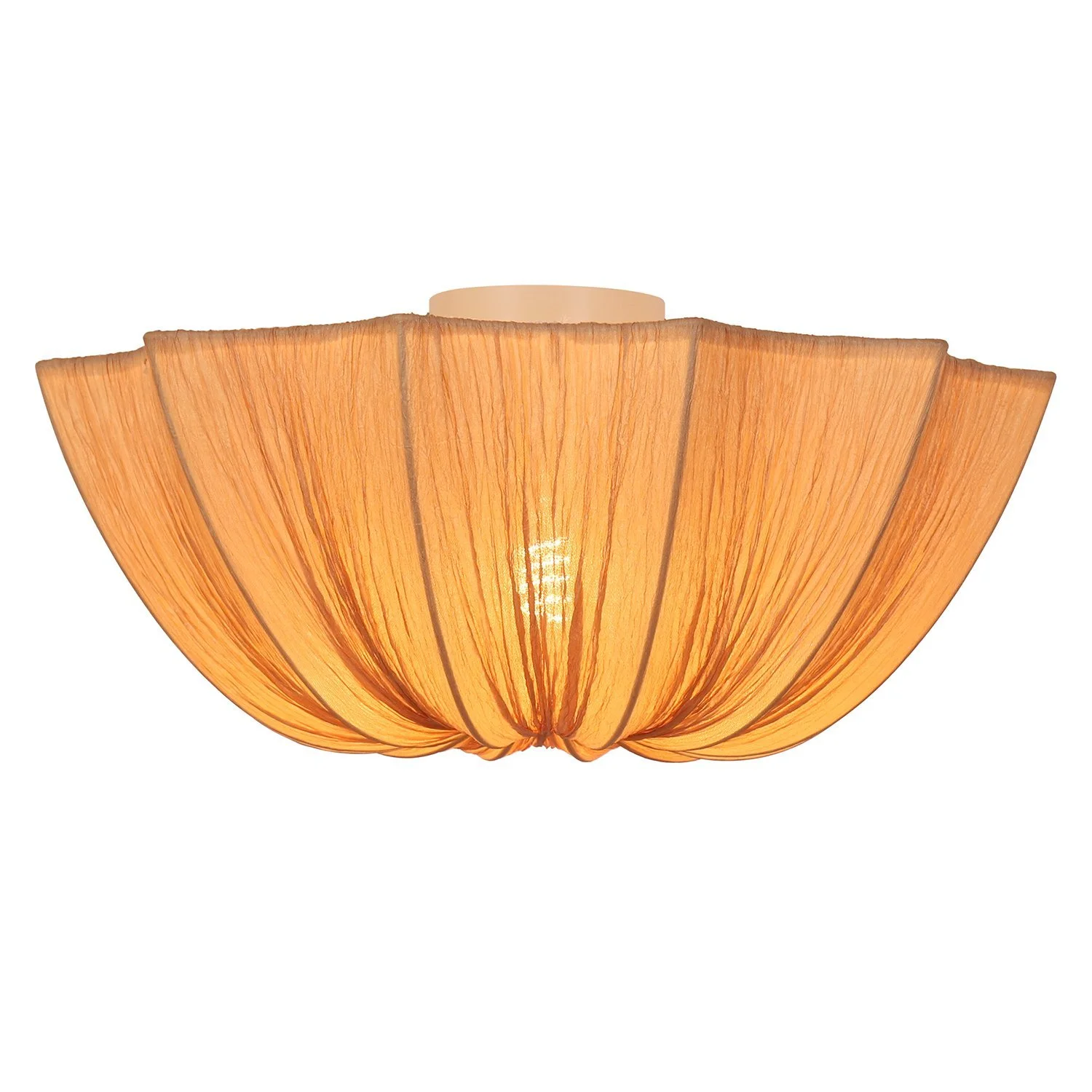 Artistic Flower-Like Aesthetic with an Elegant Scalloped Silhouette